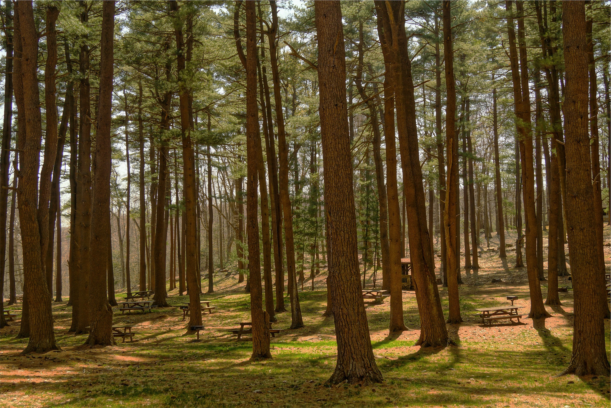 8 Unmissable Virginia Sightseeing Destinations