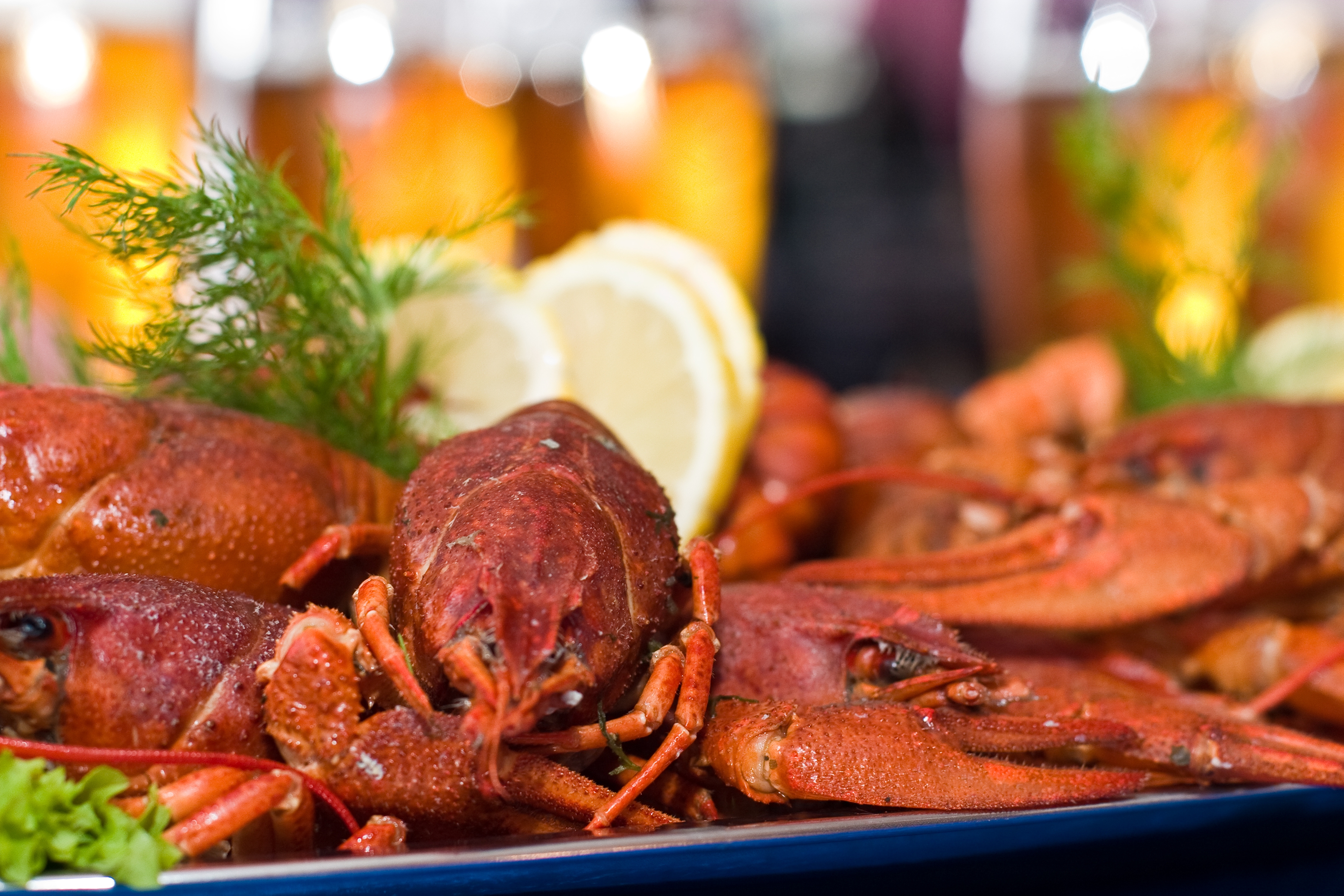 Get a Taste of Louisiana at These Falls Church Cajun Restaurants