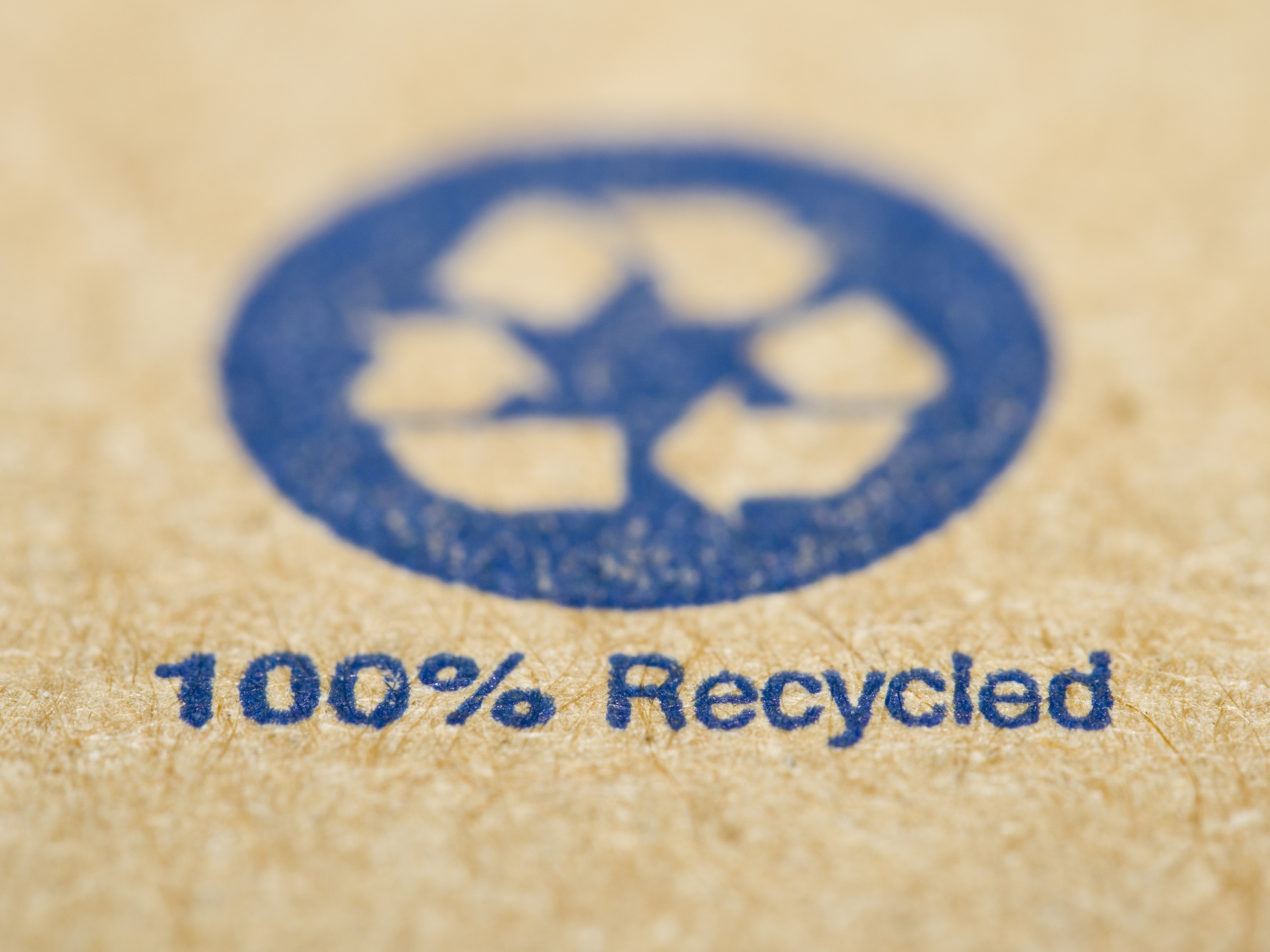 Embrace Green Living With These Eco-Friendly Apartment Tips