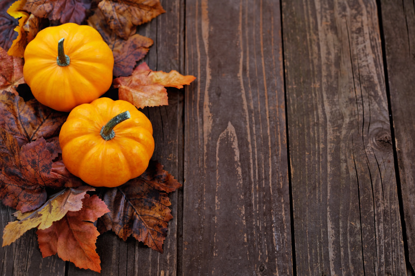 Bring Autumn Decor Into Your Apartment With These Suggestions