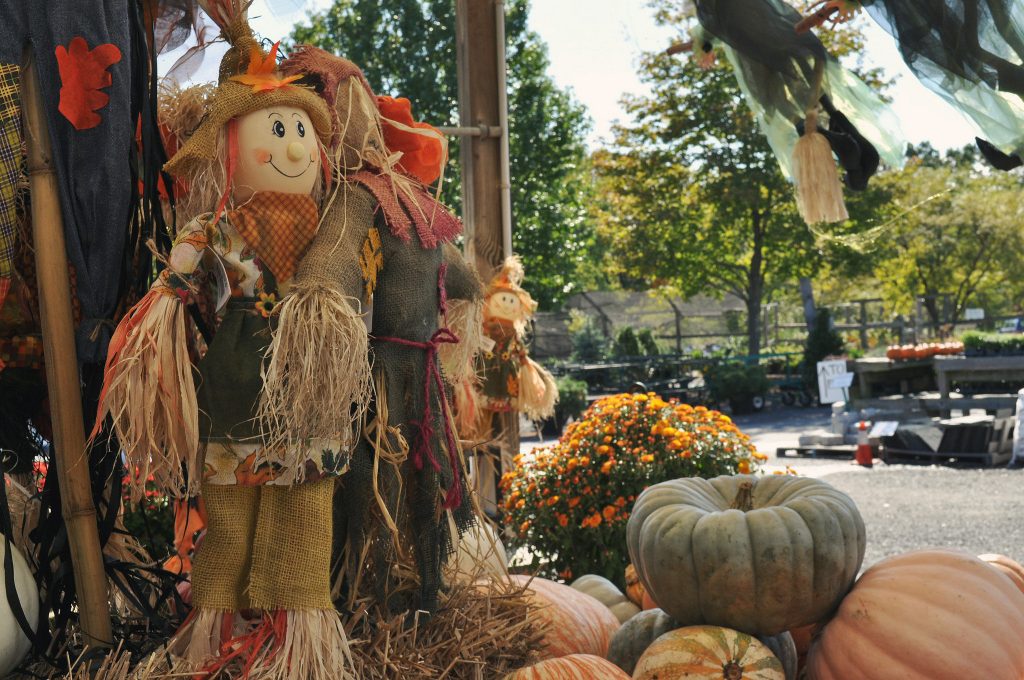 autumn decorations