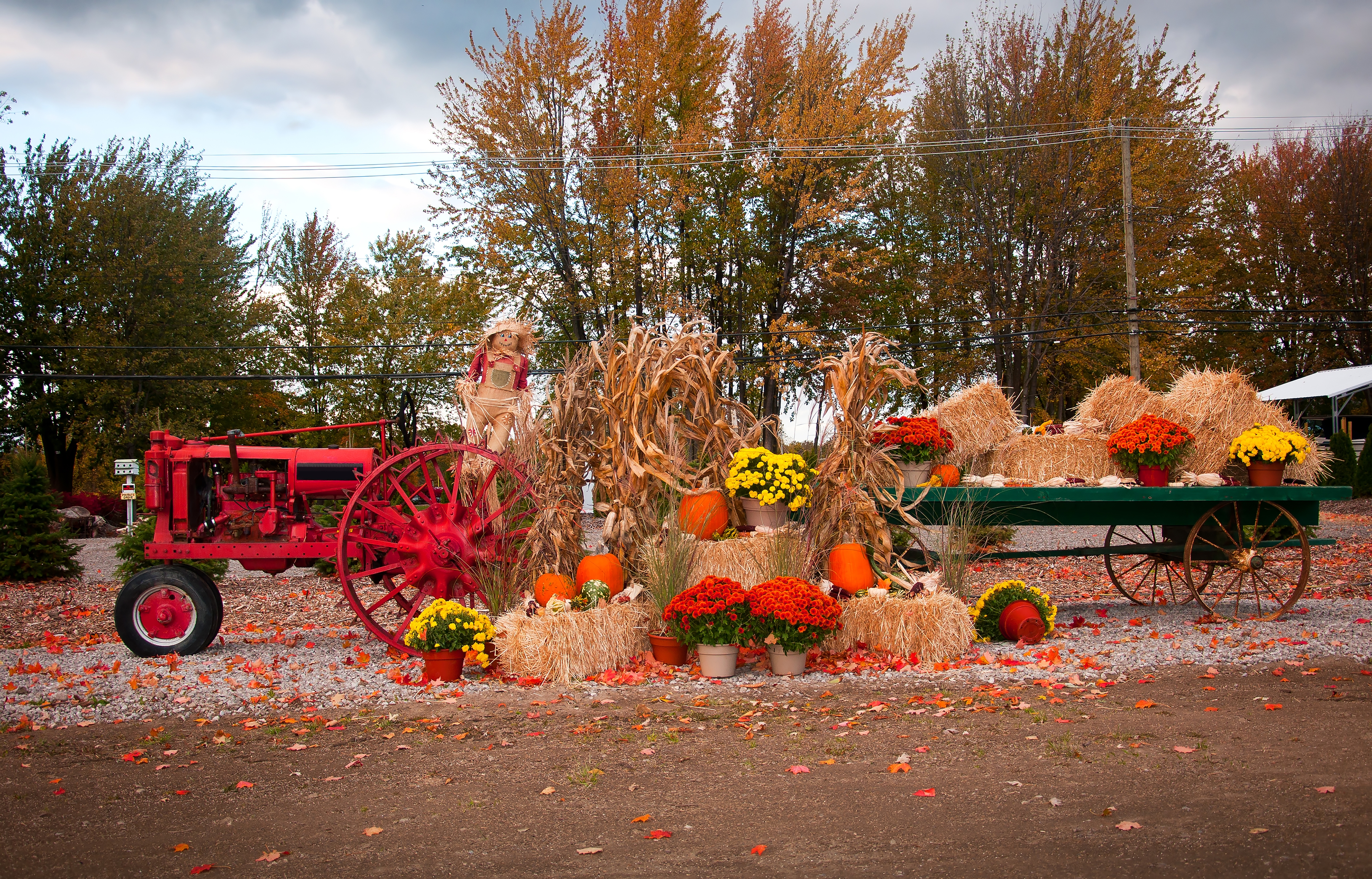 Celebrate the Arrival of Autumn at the Fall Festival