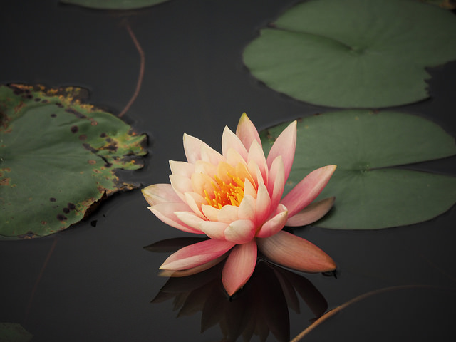 Relax and Rejuvenate at The Art of Massage