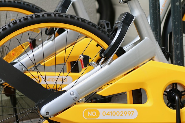 Veni Vidi Velo’s Spin Classes Are the Next Best Thing to Riding Outside