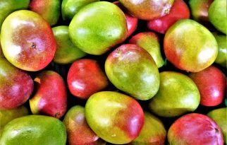 Bring a Love for Tropical Fruit to Mango Mango Dessert
