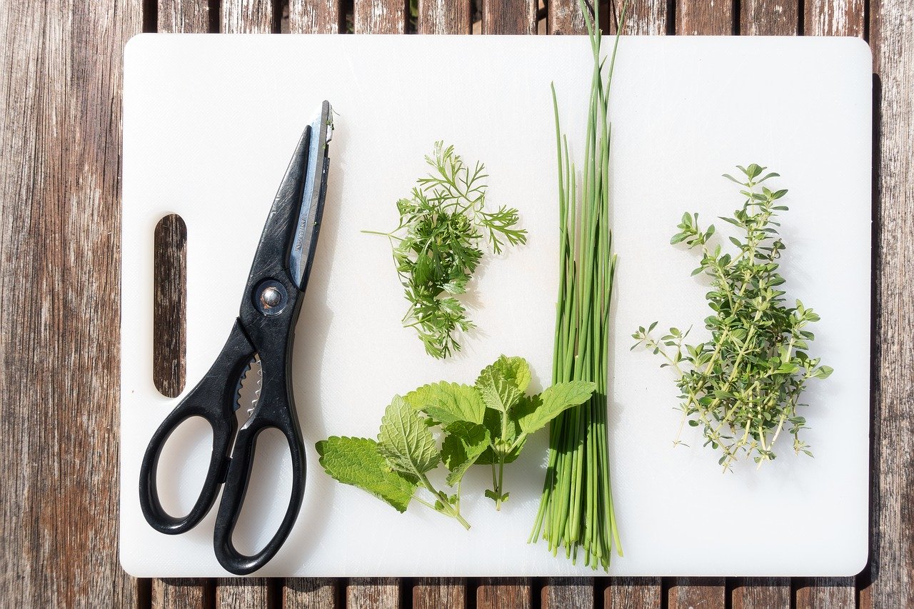 How to Grow a Windowsill Herb Garden