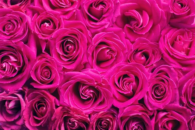 Love Is in Bloom at Galleria Florist
